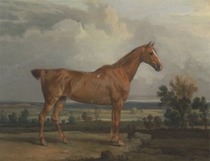 Chasseur dans un paysage