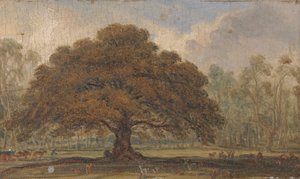 Paysage avec des cerfs sous 
