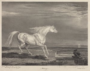 Marengo - James Ward