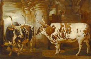 Portraits de deux bœufs extraordinaires, propriété du comte de Powis