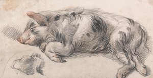Cochon dormant - James Ward