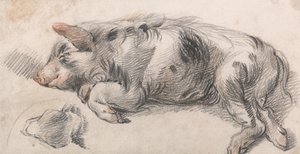Cochon de lait - James Ward