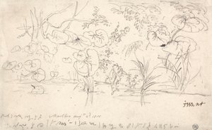 Études de Plantes, 2 Août 1815
