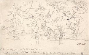 Études sur les plantes, 2 août 1815 - James Ward