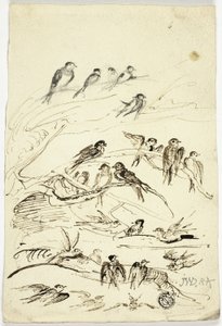 Hirondelles avant leur départ