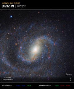 Image de NGC 1637 prise par Compass - James Webb Space Telescope (NASA)
