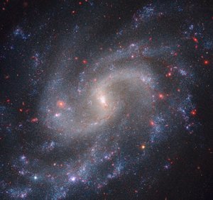 NGC 5584 - James Webb Space Telescope (NASA)