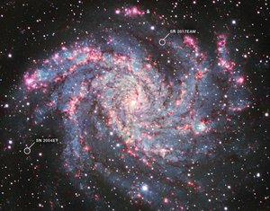 NGC 6946 - James Webb Space Telescope (NASA)