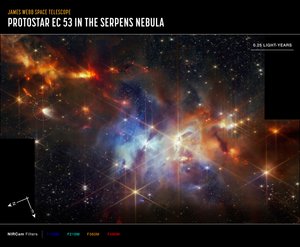La protoétoile EC 53 dans la nébuleuse du Serpent (image prise par la caméra NIRCam) - James Webb Space Telescope (NASA)