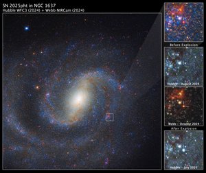 SN 2025pht dans NGC 1637 - James Webb Space Telescope (NASA)