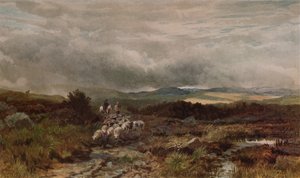 Route de montagne, Capel Curig, nord du Pays de Galles