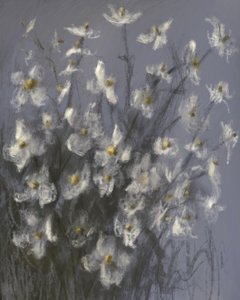 Des fleurs blanches de rêve - James Zamora
