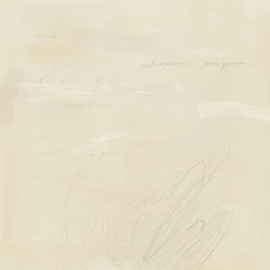 Écriture abstraite estompée - James Zamora