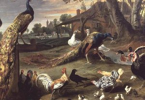 Paon et autres oiseaux dans un paysage
