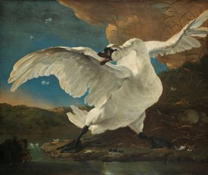 Le Cygne menacé - Jan Asselijn