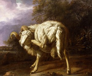 Un bélier dans un paysage boisé