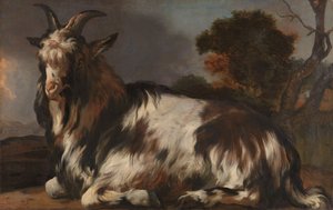 Chèvre couchée - Jan Baptist Weenix