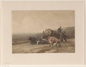Bœufs au repos - Jan Bedijs Tom