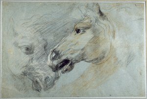 Deux études de tête de cheval - Jan Boeckhorst