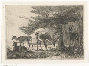 Lisière de forêt avec des cerfs