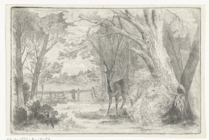 Paysage de parc avec cerf