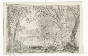 Paysage de parc avec cerf