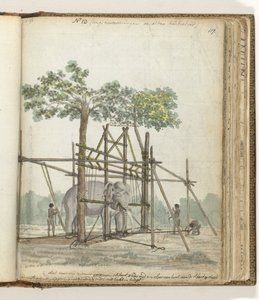 Étable à éléphants