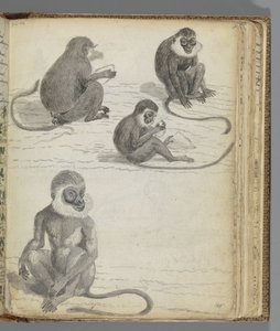 Autoportrait de Jan Brandes