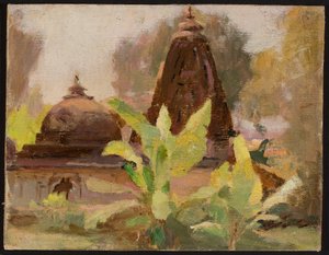 Ahmedabad - Temple jaïn. D