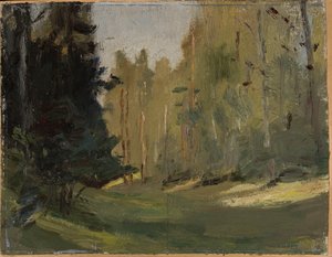 Mariino - Clairière dans la forêt