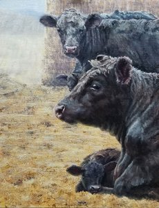 La famille Black Cattle - Jan Clizer