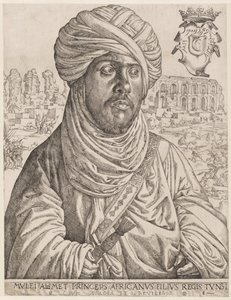 Portrait de Muley Ahmed - Jan Cornelisz Vermeyen