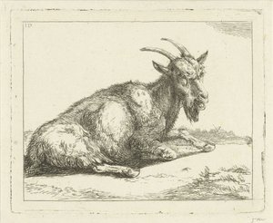 Chèvre - Jan Dasveldt