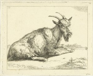 Chèvre - Jan Dasveldt