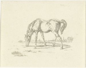 Cheval broutant vers la droite