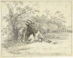 Chèvre couchée