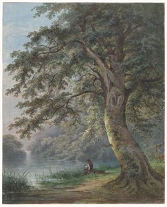 Pêcheur sous un grand arbre près d