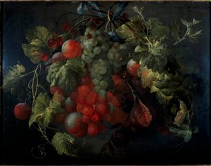 Néerlandais : Feston de fruits
