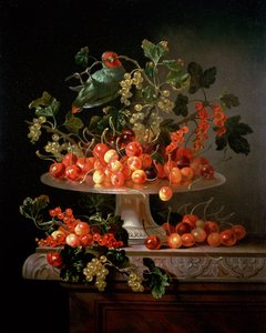 Nature morte de cerises et de groseilles avec un perroquet - Jan Frans van Son