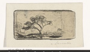 Paysage avec arbre