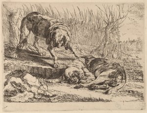 Deux Beagles, un dormant