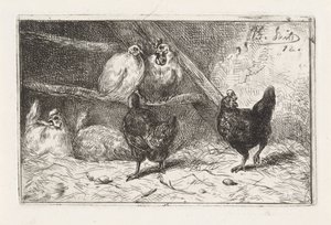 Coq et cinq poules dans un enclos
