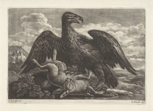 Un aigle sur un lièvre
