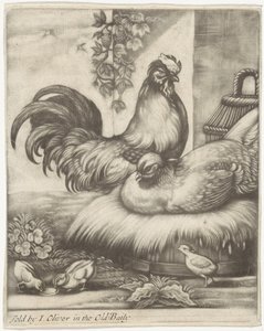 Coq et poule