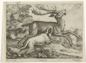 Chasse au cerf