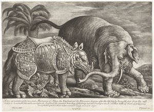 Éléphant et rhinocéros