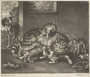 Chat avec cinq chatons