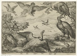 Différents oiseaux et un singe