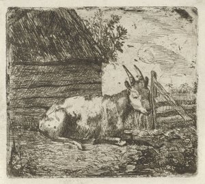 Bouc près d