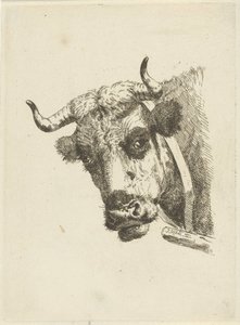 Tête de vache